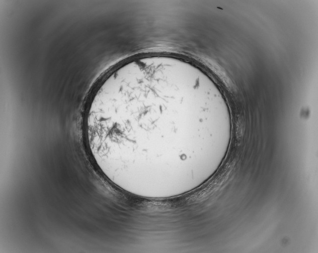 X0000103401356200810031215