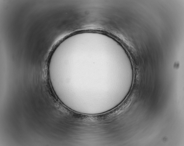 X0000103401358200810031215