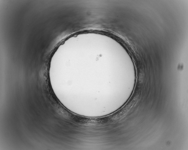 X0000103401359200810031215