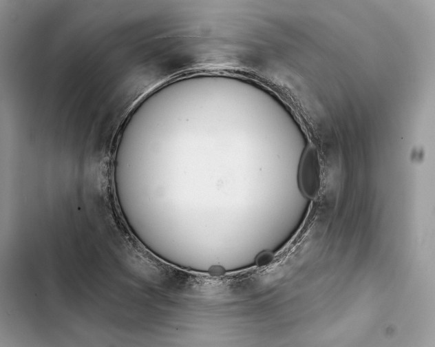 X0000103401361200810031215