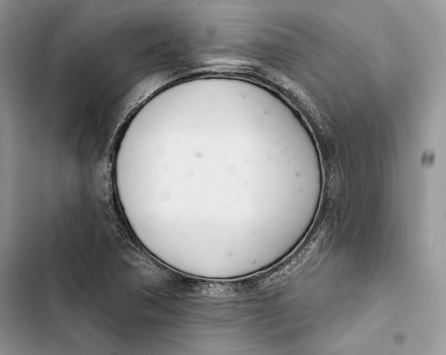 X0000103401362200810031215