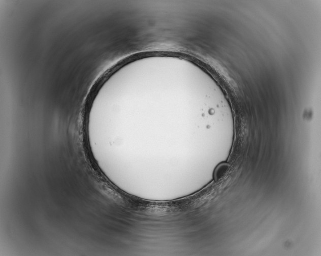 X0000103401364200810031215