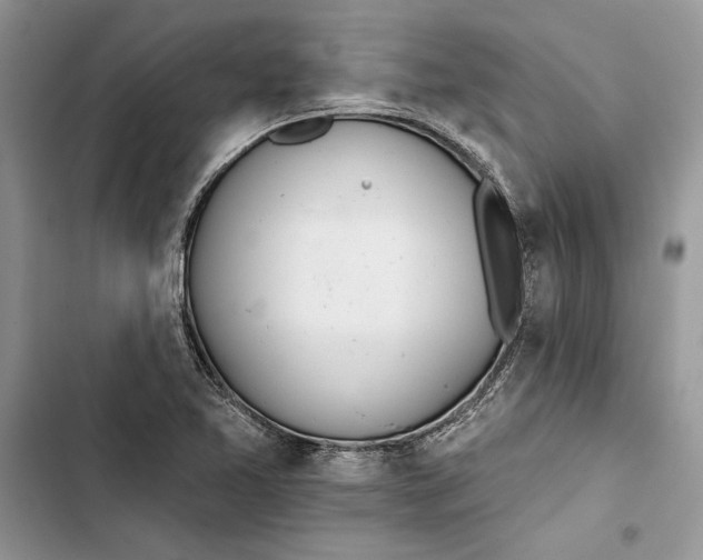 X0000103401365200810031215