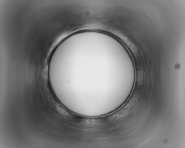 X0000103401366200810031215