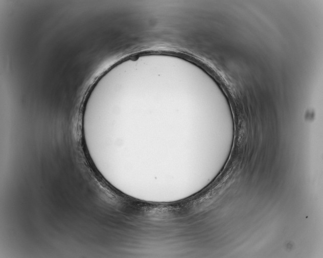 X0000103401367200810031215