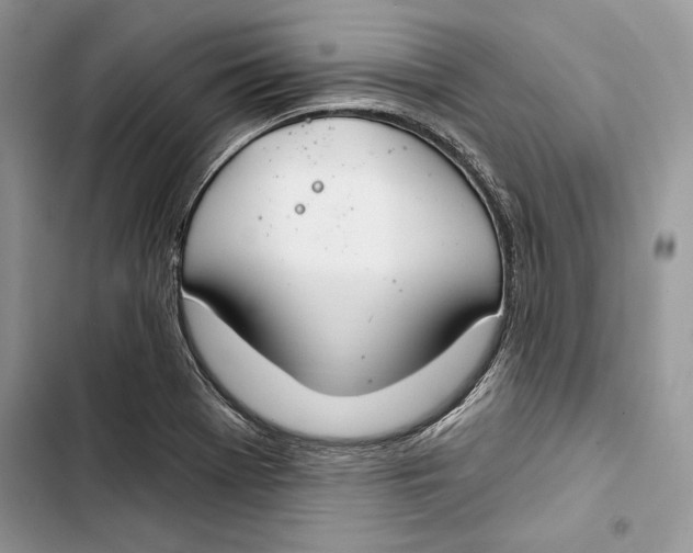 X0000103401369200810031215