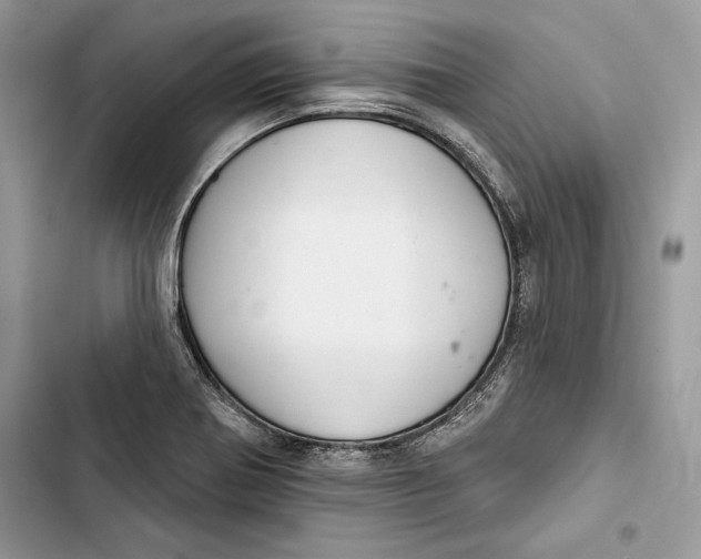 X0000103401370200810031215