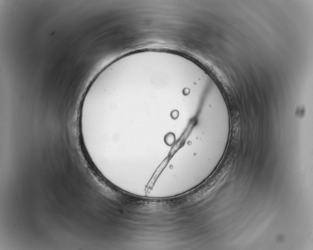 X0000103401375200810031215