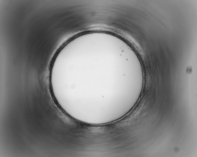 X0000103401376200810031215