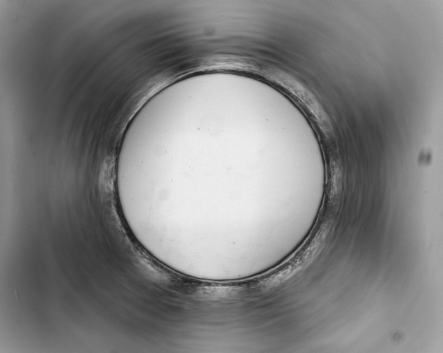 X0000103401377200810031215