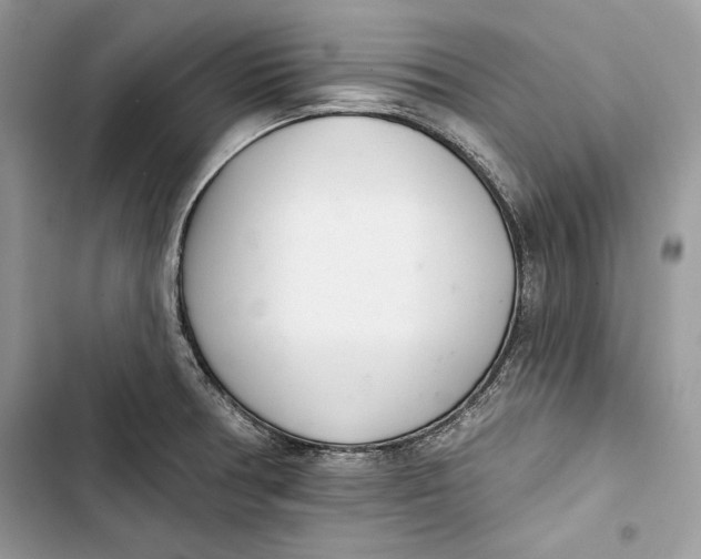 X0000103401378200810031215