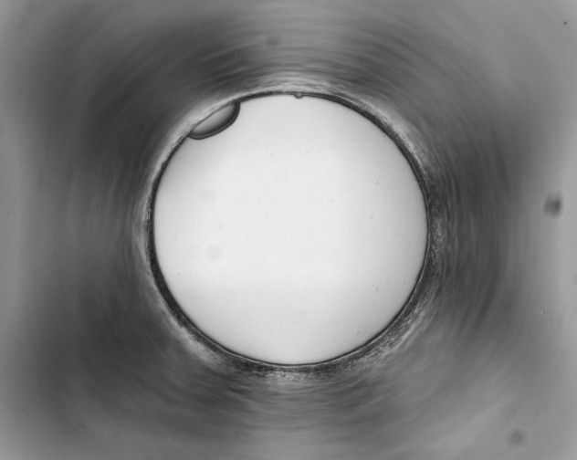 X0000103401379200810031215