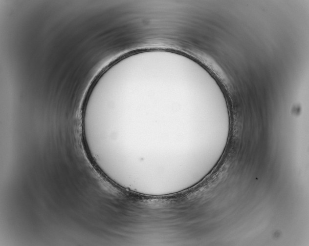 X0000103401380200810031215