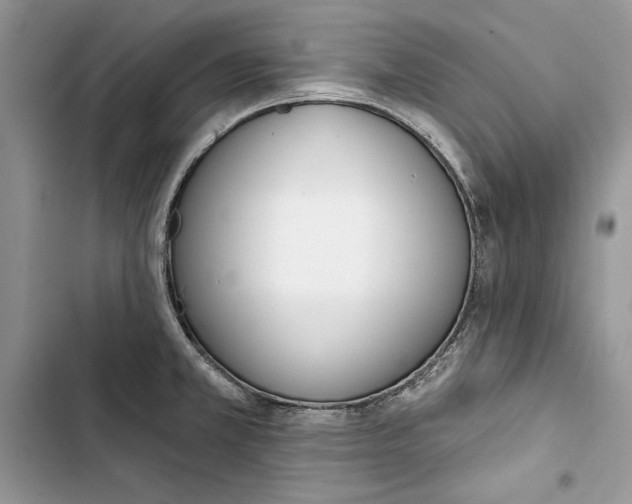 X0000103401381200810031215