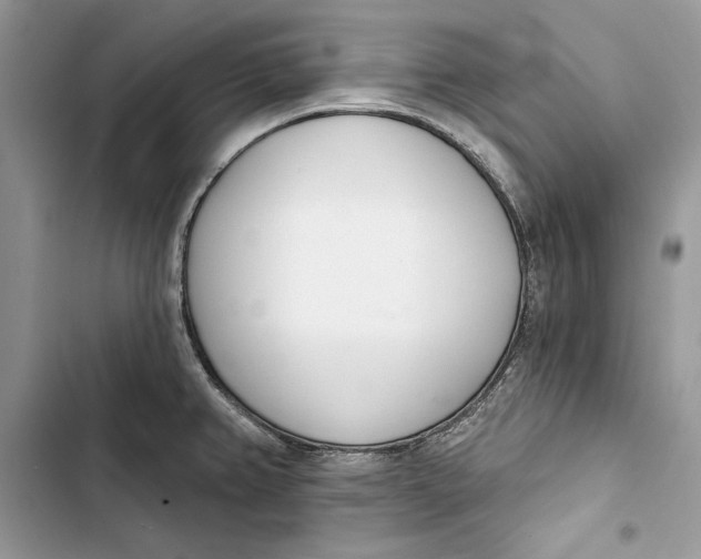 X0000103401382200810031215