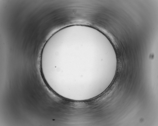 X0000103401383200810031215