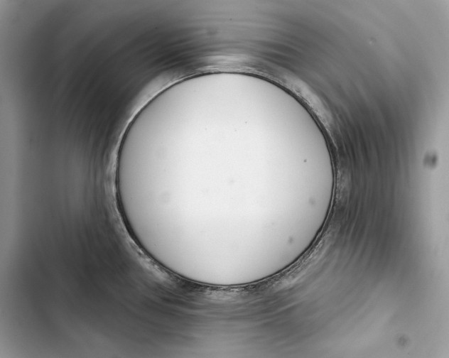 X0000103401386200810031215