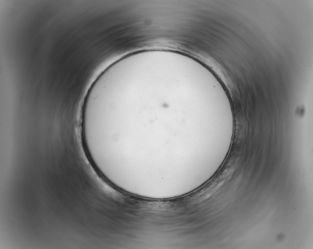 X0000103401387200810031215