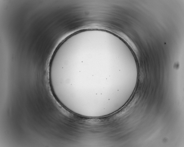 X0000103401388200810031215