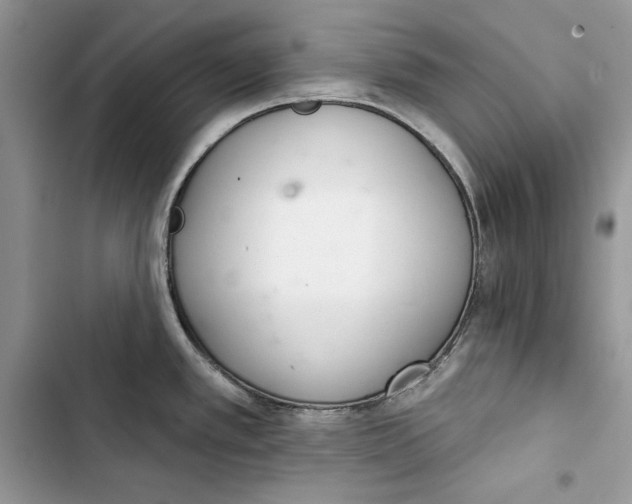 X0000103401389200810031215