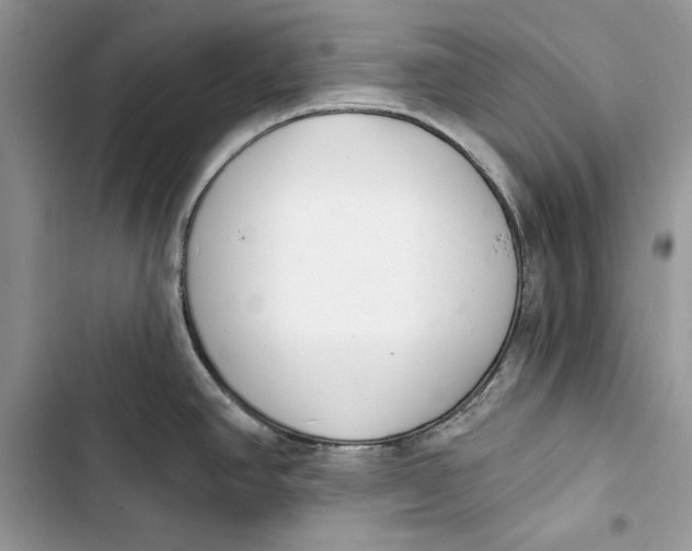 X0000103401390200810031215