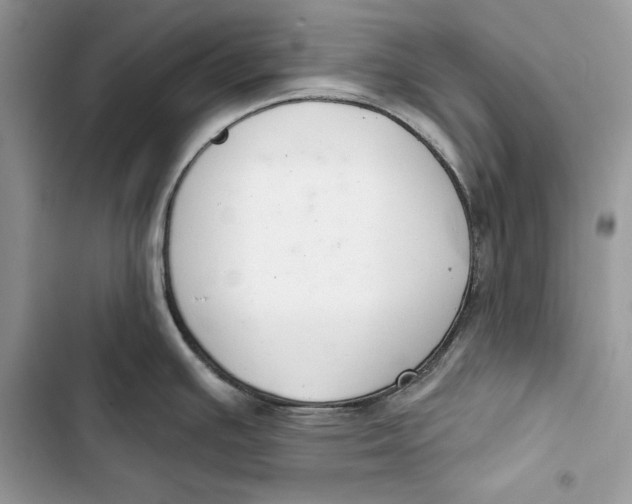 X0000103401391200810031215