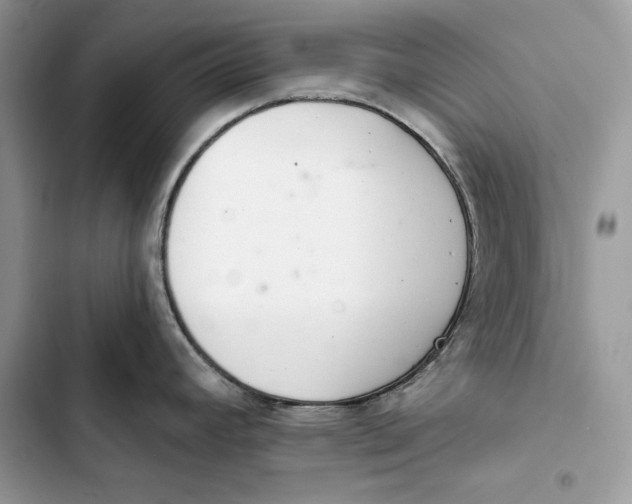 X0000103401392200810031215