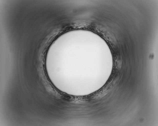 X0000103401393200810031214