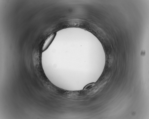 X0000103401394200810031214