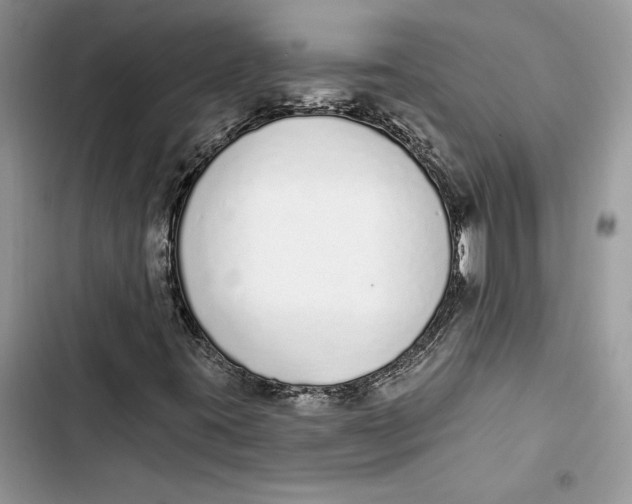 X0000103401395200810031214