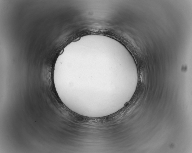 X0000103401396200810031214