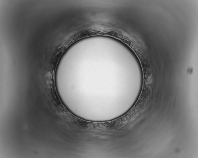 X0000103401397200810031214