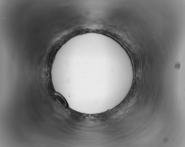 X0000103401398200810031214