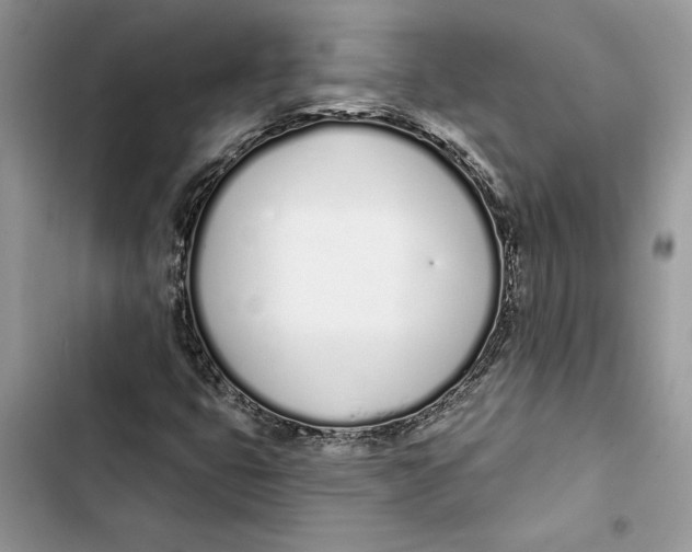 X0000103401399200810031214