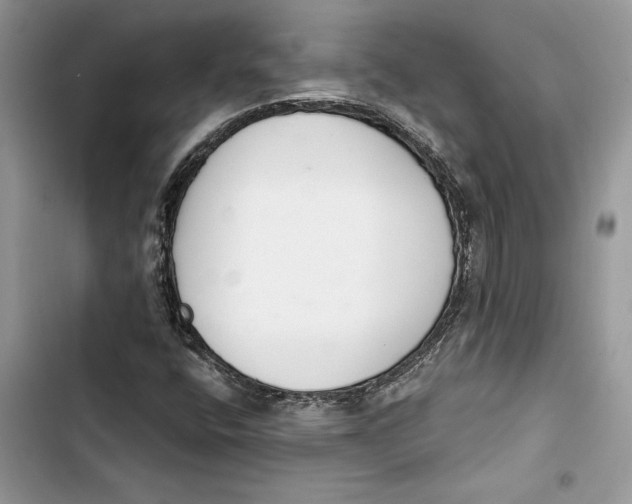 X0000103401400200810031214