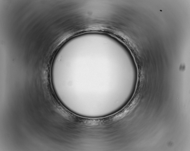 X0000103401401200810031214