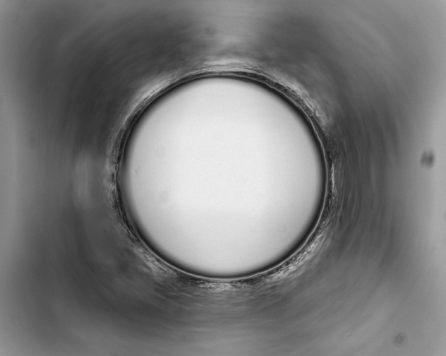 X0000103401405200810031214