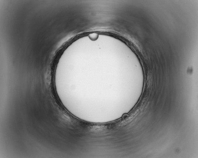 X0000103401406200810031214