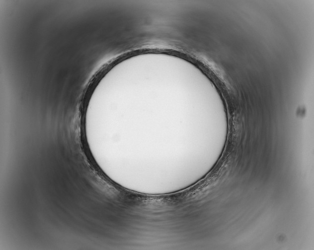 X0000103401408200810031214