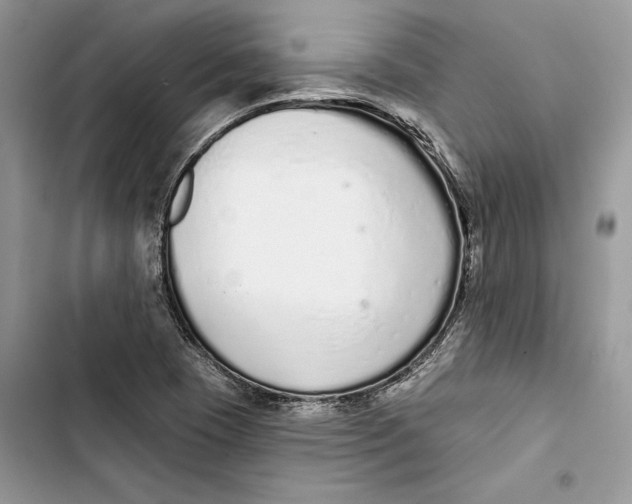 X0000103401409200810031214