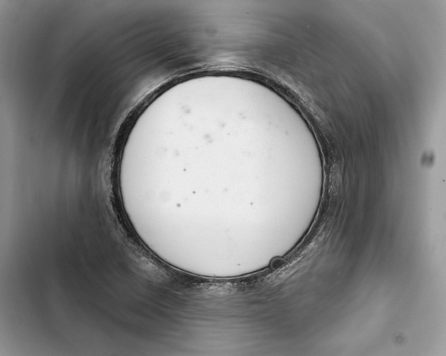 X0000103401410200810031214