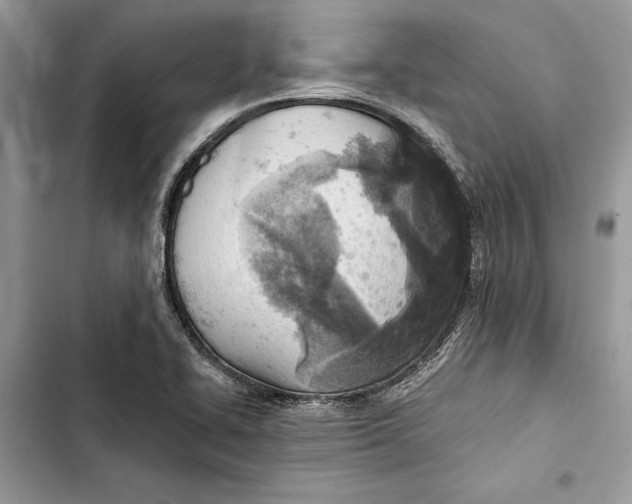 X0000103401414200810031214