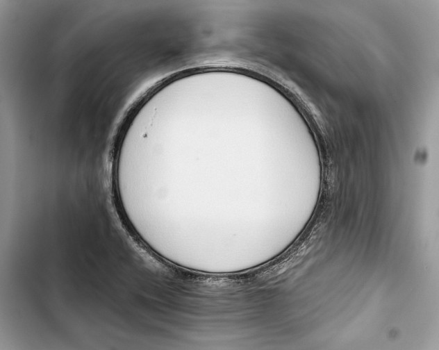 X0000103401416200810031215