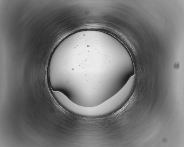 X0000103401417200810031215