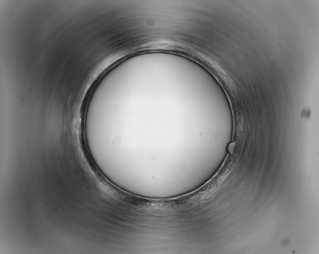 X0000103401418200810031215