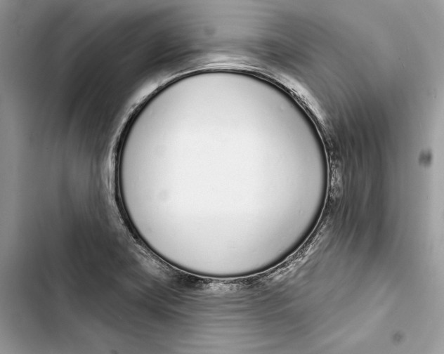 X0000103401419200810031215