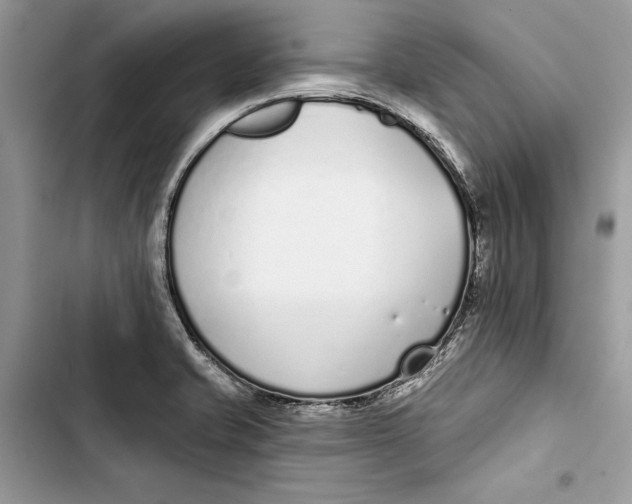 X0000103401421200810031215