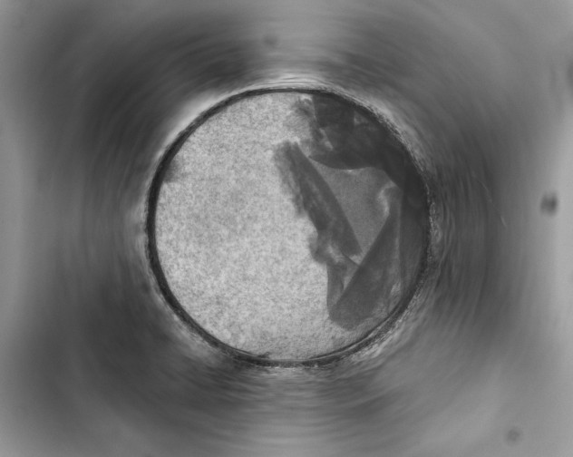 X0000103401422200810031215