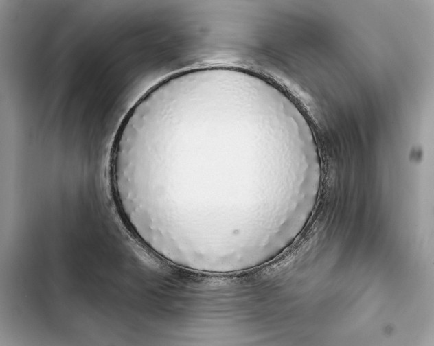 X0000103401423200810031215