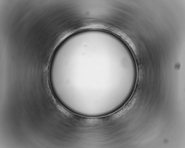 X0000103401425200810031215